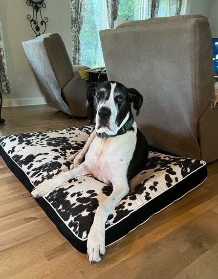 Black-on-Black Faux Cowhide Custom Bed