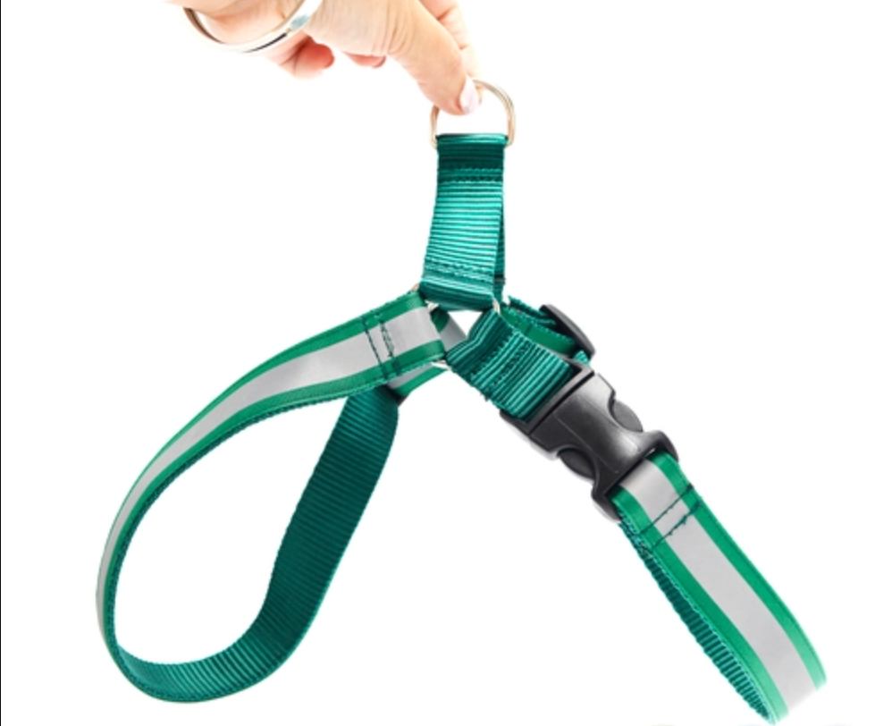 Reflective easy-on Mimi Green dog harness for large and giant dogs with a 35 inch to 42 inch girth