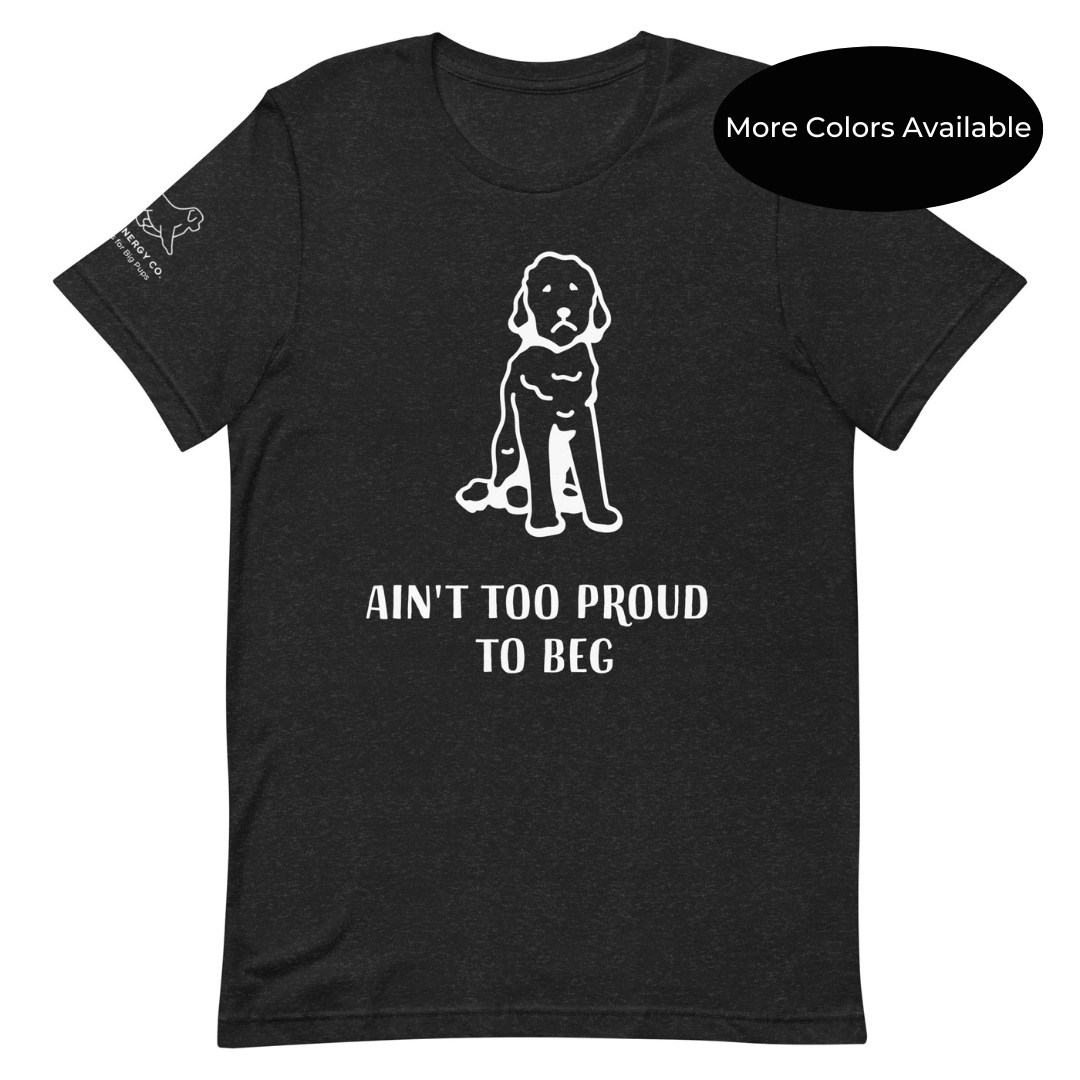 Unisex Ain't Too Proud Tee