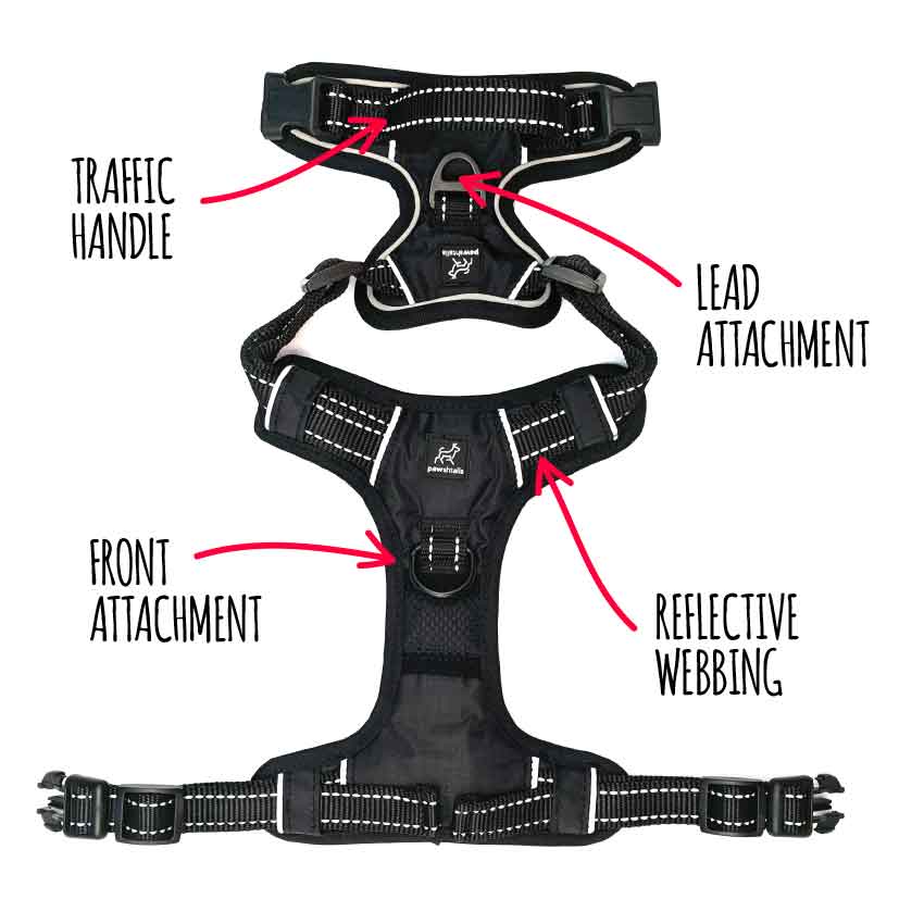Diagram of the features of black Pawshtails no-pull harness that fits giant and large dogs