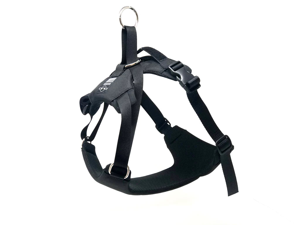 Adapt Security Dog Harness Big Dog Energy Company