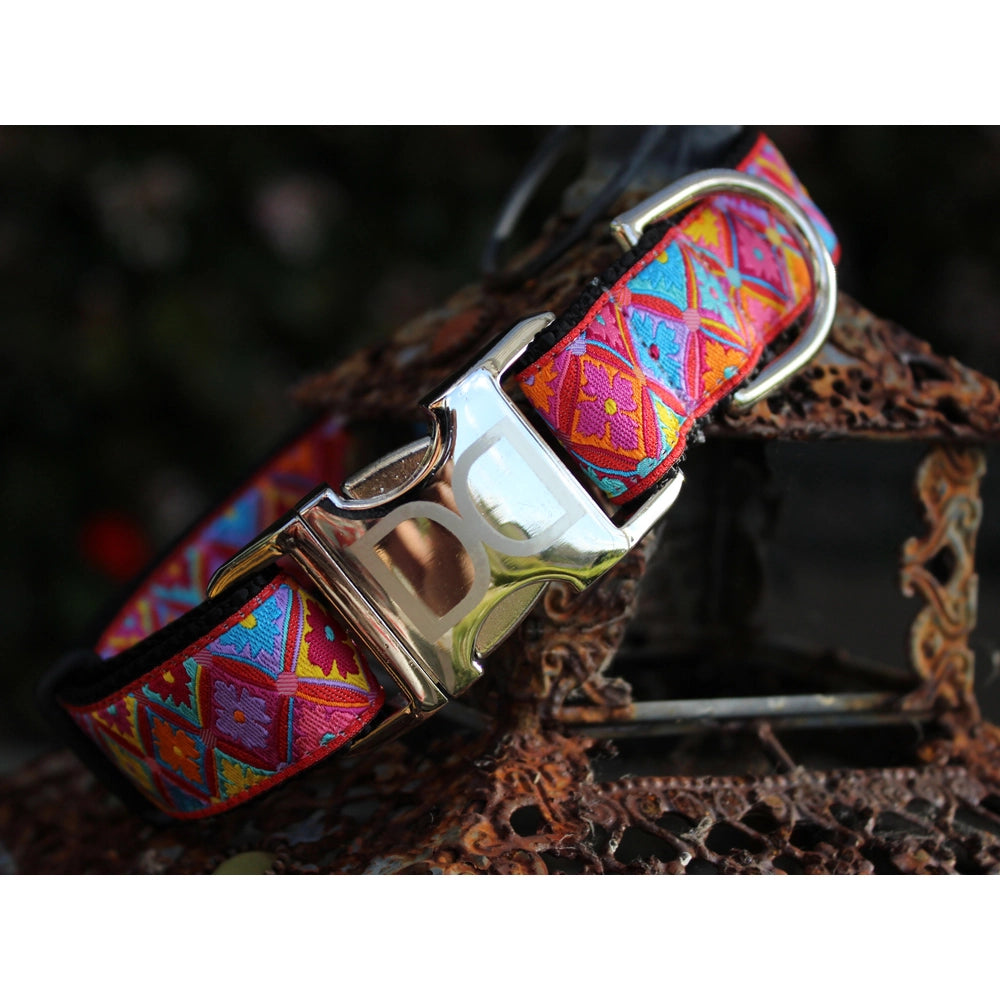 1 inch wide colorful Diva Dog collar for big and giant dogs with necks between 24 and 32 inches