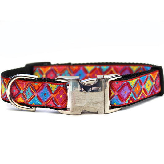 1 inch wide colorful Diva Dog collar for big and giant dogs with necks between 24 and 32 inches