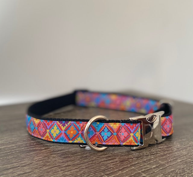 1 inch wide colorful Diva Dog collar for big and giant dogs with necks between 24 and 32 inches