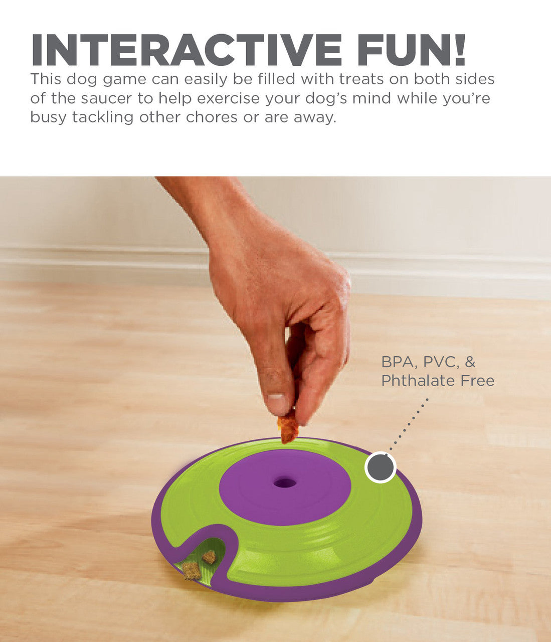 Dog Treat Maze Game