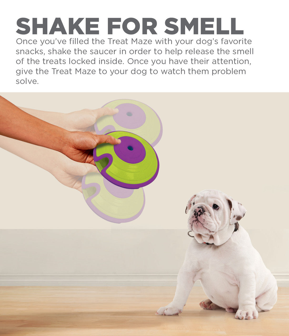 Dog Treat Maze Game