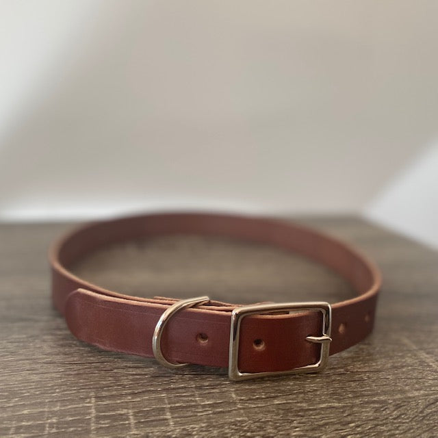 1 inch wide brown English bridle leather Mimi Green dog collar with all brass buckle for big and giant dogs with necks between 24 and 28 inches