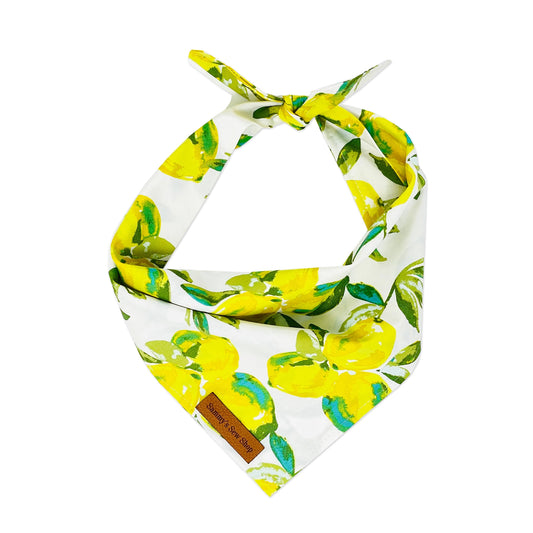 White lightweight drape Sammy's Sew Shop bandana with a lemon pattern for large and giant breed dogs with neck up to 34 inches