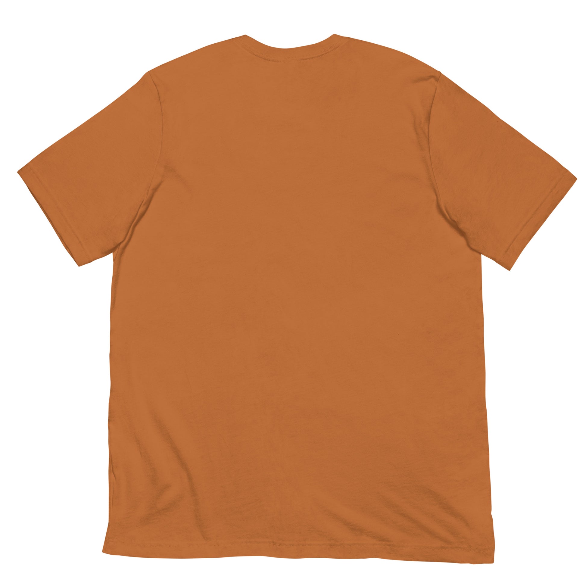 Back of the t-shirt, which is blank.