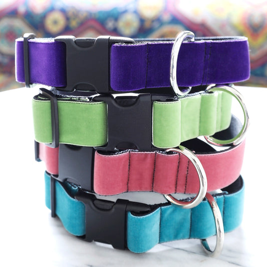 1.5" wide velvet Mimi Green dog collars for big and giant dogs with necks between 25 and 29 inches