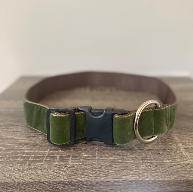 1.5" wide green velvet Mimi Green dog collar for big and giant dogs with necks between 25 and 29 inches