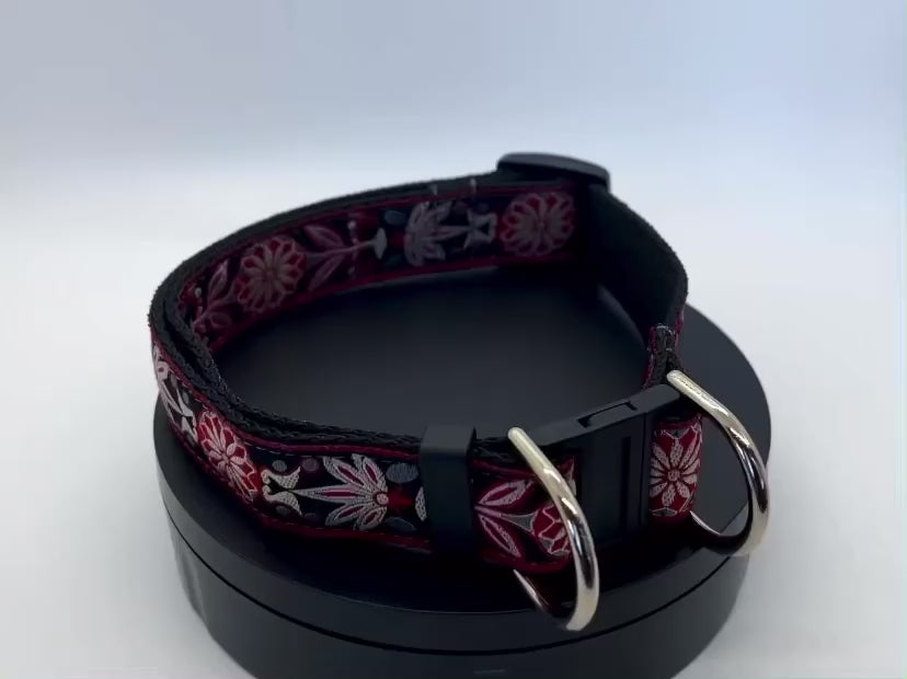 A video of a 1 inch wide red and black fancy pattern Diva Dog safety release buckle collar for big and giant dogs with necks between 24 and 32 inches spinning in circles