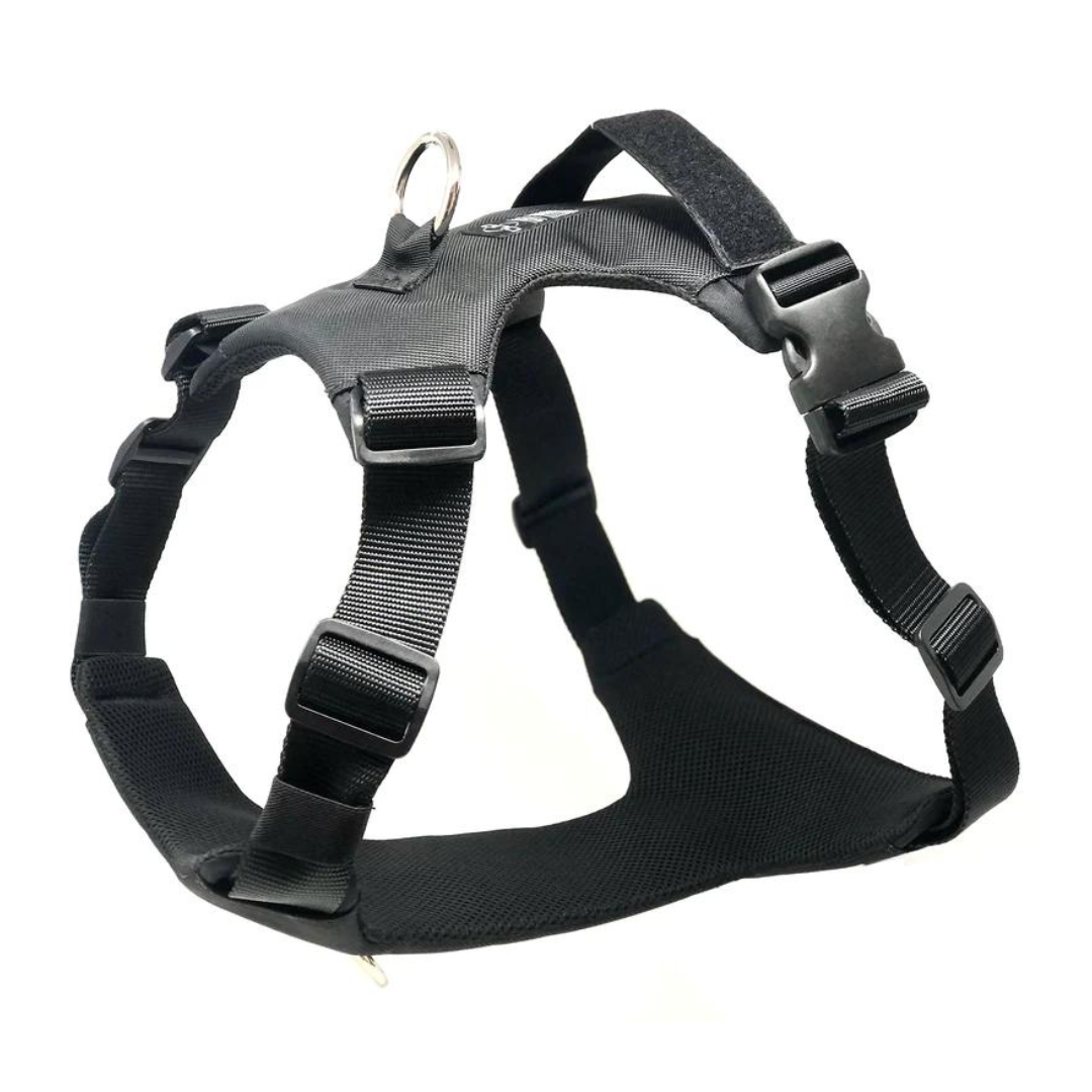 'Eclipse' Adventure Dog Harness