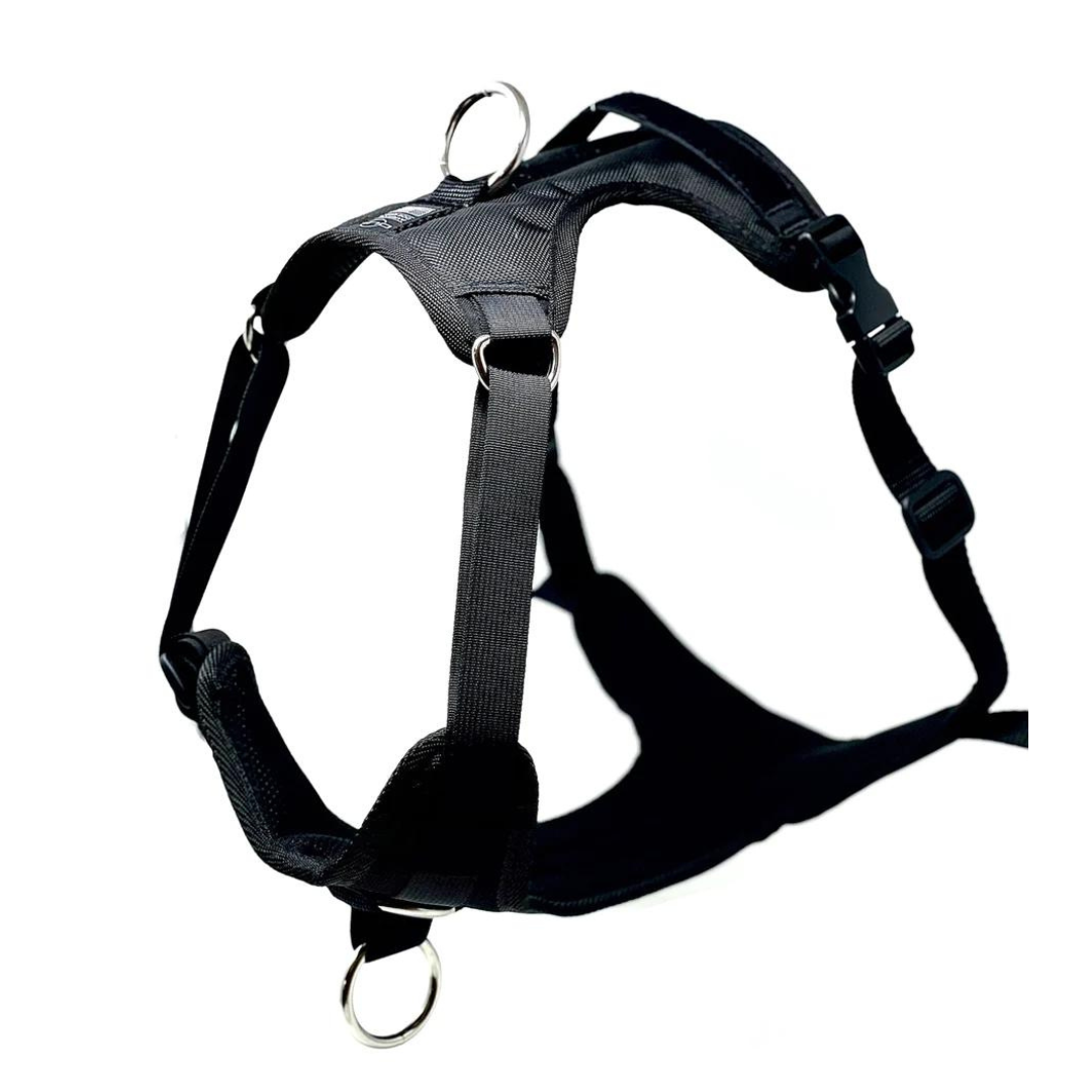 'Direct' No Pull Dog Harness