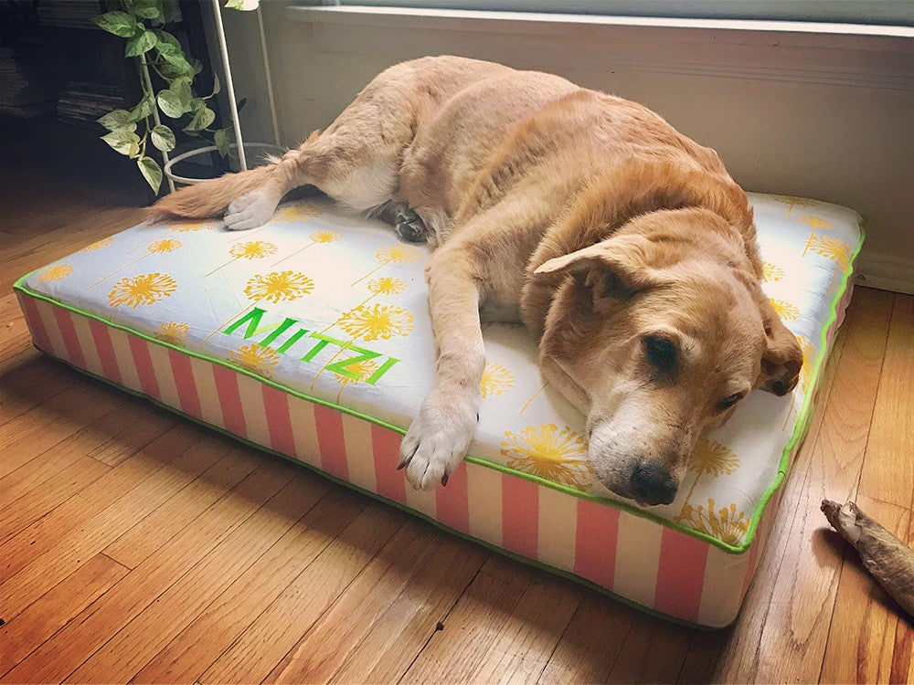 Dandelion Fields Custom Bed