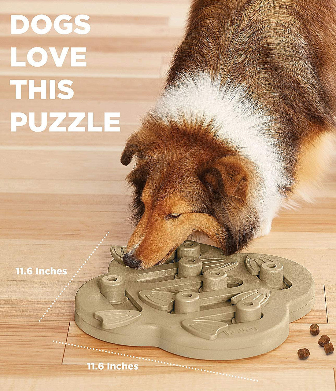 Hide n' Slide Puzzle Game – Big Dog Energy Company