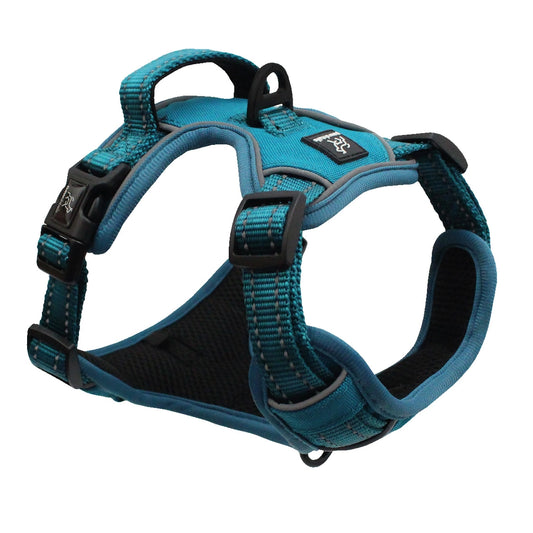 Teal Pawshtails no-pull harness that fits giant and large dogs with a 20.5 inch to 28.75 inch neck and 30 inch to 39 inch girth