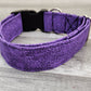 Purple Haze Big Dog Collar