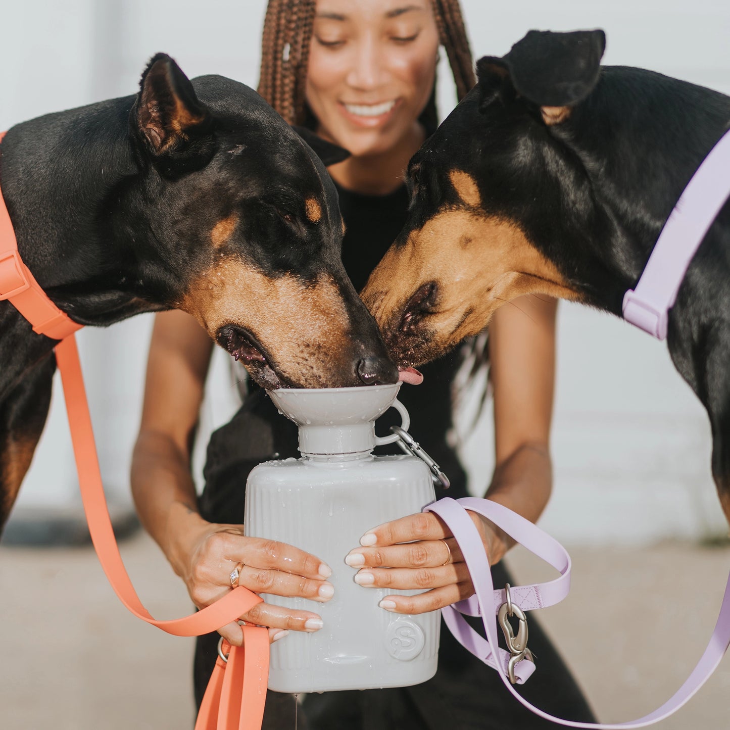 Woman holding a gray 44 ounce travel water bottle from Springer while two big dogs drink out of the bottle