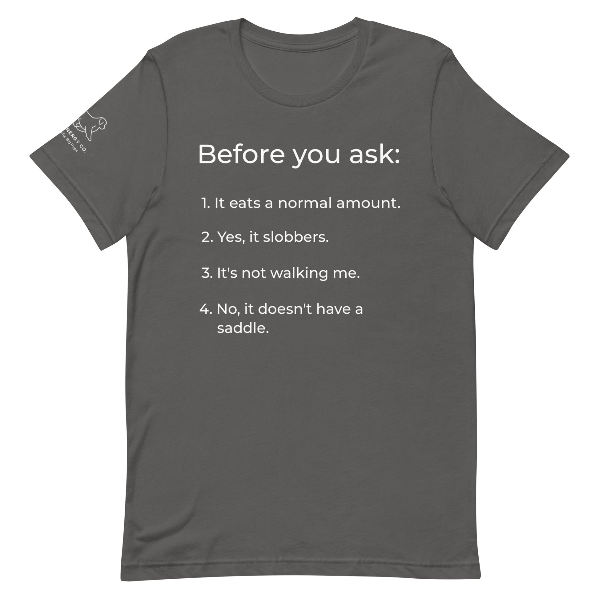 Front of an asphalt grey t-shirt that has a list that reads "Before you ask: 1. It eats a normal amount. 2. Yes, it slobbers. 3. It's not walking me. 4. No, it doesn't have a saddle." in white text.